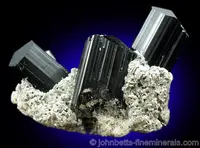 Several Schorl Crystals