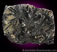 Radiating Schorl Sprays