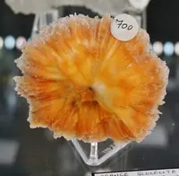 Rare Orange Scolecite