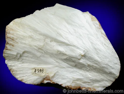 Compact White Scolecite