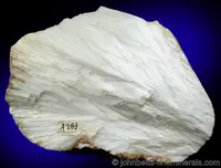 Compact White Scolecite