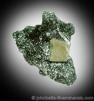 Shiny Chlorite Matrix with Apatite