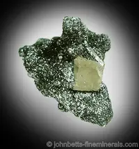 Shiny Chlorite Matrix with Apatite