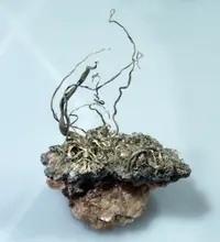 Wire Silver on Matrix