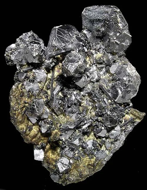 Dozen Sperrylite Crystals on Matrix