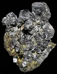 Dozen Sperrylite Crystals on Matrix