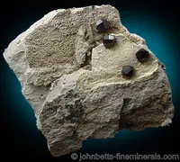 Black Spessartine on Matrix