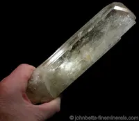 Huge Yellow Spodumene Crystal