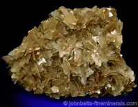 Star Muscovite