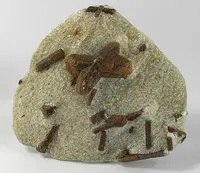 Staurolite Crystals in Schist