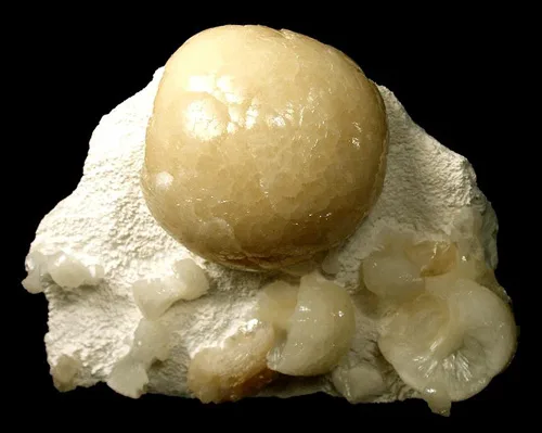 Huge Indian Stellerite