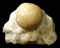 Huge Indian Stellerite