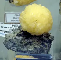 Yellow Stellerite Sphere on Matrix