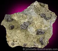 Stephanite Rosettes on Matrix