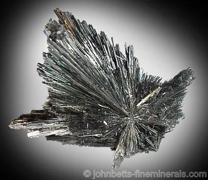 Radiating Stibnite