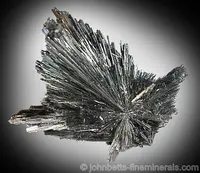 Radiating Stibnite