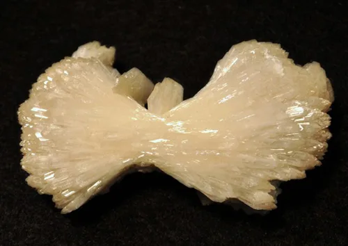 Stilbite Bowtie