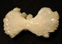 Stilbite Bowtie