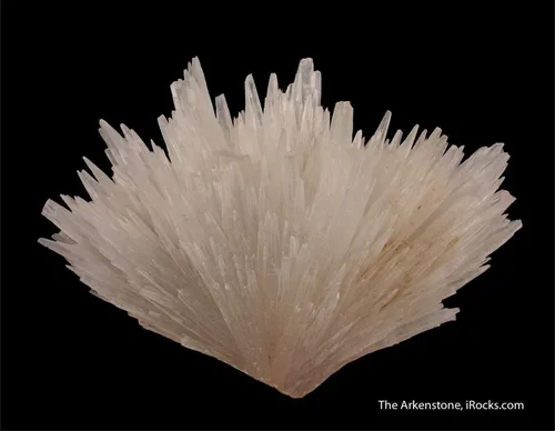 Delicate Radiating Strontianite Spray