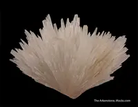 Delicate Radiating Strontianite Spray