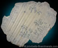 Sliced Talc with Dendrites