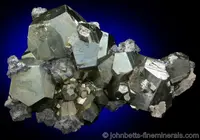 Tetrahedrite on Pyrite Crystals