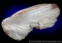 Radiating Thomsonite Nodule