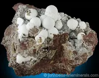 White Thomsonite on Dark Matrix