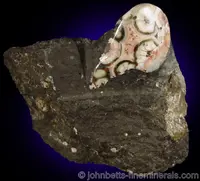 Thomsonite Nodule on Matrix