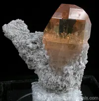 Sherry Topaz on Matrix