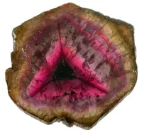 Liddicoatite Tourmaline Slice