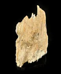 Fibrous Asbestos Tremolite