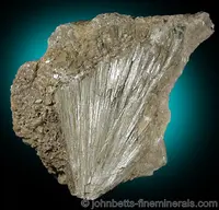 Radiating Tremolite Sprays