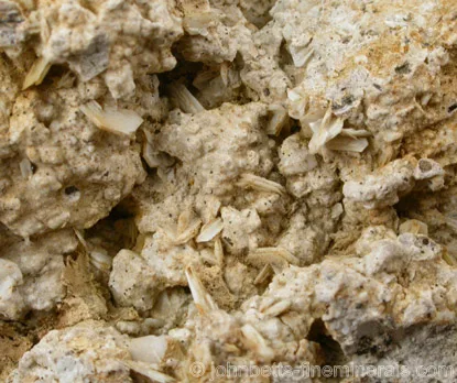 tridymite