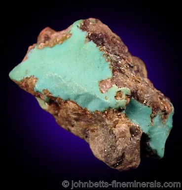Turquoise Nugget in Matrix