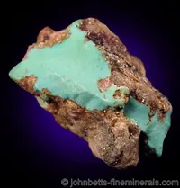 Turquoise Nugget in Matrix