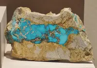 Splotched Turquoise Vein