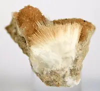 Acicular Ulexite Crystals