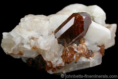 Golden Brown Uvite