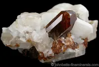 Golden Brown Uvite