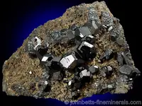 Black Uvite on Matrix