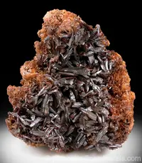 Vanadinite var. Endlichite
