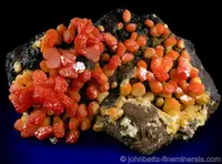 Bi-colored Vanadinite Crystals