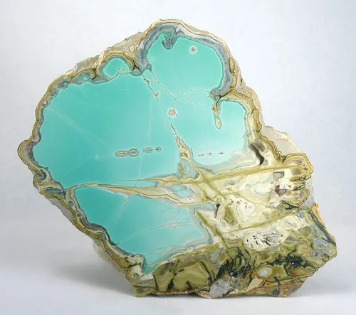 Turquoise-Blue Variscite Slice
