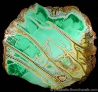 Sliced Variscite Nodule