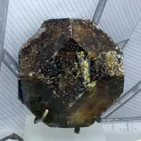 Octagonal Vesuviante Crystal