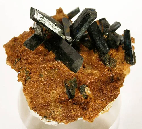 Vivianite Crystals from Florida
