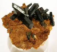Vivianite Crystals from Florida