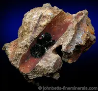 Vivianite in Fossil Cast
