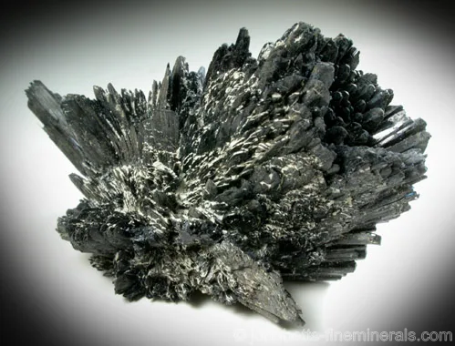 Radiating Bladed Dark Vivianite